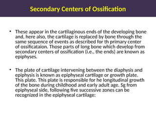 Secondary Centers of Ossification
• These appear in the cartilaginous ends of the developing bone
and, here also, the cartilage is replaced by bone through the
same sequence of events as described for th primary center
of ossificataion. Those parts of long bone which develop from
secondary centers of ossification (i.e., the ends) are known as
epiphyses.
• The plate of cartilage intervening between the diaphysis and
epiphysis is known as epiphyseal cartilage or growth plate.
This plate. This plate is responsible for he longitudinal growth
of the bone during childhood and early adult age. Sg from
epiphyseal side, following five successive zones can be
recognized in the epiphyseal cartilage:
 
