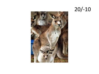 						     20/-10
