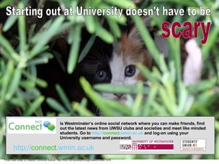 is Westminster’s online social network where you can make friends, find out the latest news from UWSU clubs and societies and meet like minded students. Go to  http:// connect. wmin.ac.uk  and log-on using your University username and password. http:// connect. wmin.ac.uk Starting out at University doesn't have to be scary Photo used under a Creative Commons licence. http://flickr.com/photos/throughhislens/508671414  