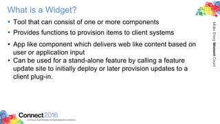 What is a Widget?
• Tool that can consist of one or more components
• Provides functions to provision items to client systems
• App like component which delivers web like content based on
user or application input
• Can be used for a stand-alone feature by calling a feature
update site to initially deploy or later provision updates to a
client plug-in.
 