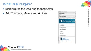 What is a Plug-in?
• Manipulates the look and feel of Notes
• Add Toolbars, Menus and Actions
 