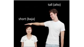 tall (alto)
short (baja)
 