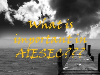 What is
important in
 AIESEC???
 