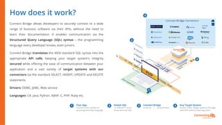 Connect Bridge | PDF