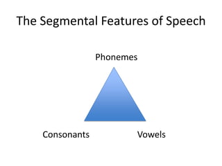 The Segmental Features of Speech
Phonemes

Consonants

Vowels

 