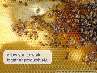 Allow you to work together productively. Photo Credit:  http://www.flickr.com/photos/wheatfields/116810137 