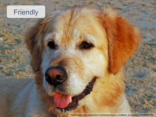 Friendly Photo Credit:  http://www.flickr.com/photos/karen_mcallister_photography/2038880243/ 