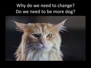 Why do we need to change?
Do we need to be more dog?

 