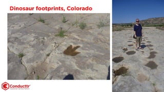 Dinosaur footprints, Colorado
 
