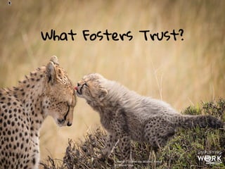 The Only Constant is Change:
We Need Resilience Not More Ambassador Programs
Key Needs
•  Clear urgency of future
state
•  shared vision and execution
•  Time to think, create, fail
and innovate
•  Leadership support and
engagement
•  Skills development
•  Embedded DNA
•  Collaboration and dialogue
h"p://ayeletbaron.com	
  
 