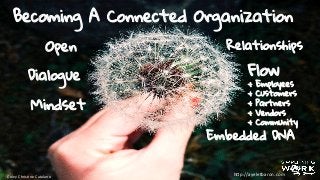 Coley	
  Chris9ne	
  Catalano	
  
Becoming A Connected Organization
Open Relationships
Dialogue
Mindset
Flow
+ Employees
+ Customers
+ Partners
+ Vendors
+ Community
Embedded DNA
h"p://ayeletbaron.com	
  
 