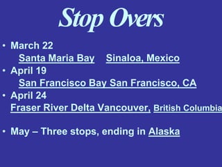 Stop Overs
Sinaloa, Mexico
• March 22
Santa Maria Bay
• April 19
San Francisco Bay San Francisco, CA
• April 24
Fraser River Delta Vancouver, British Columbia
• May – Three stops, ending in Alaska
 