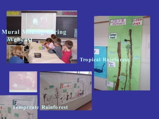 Mural Making during
Webcast
Temperate Rainfo rest
Tropical Rainfo rest
 