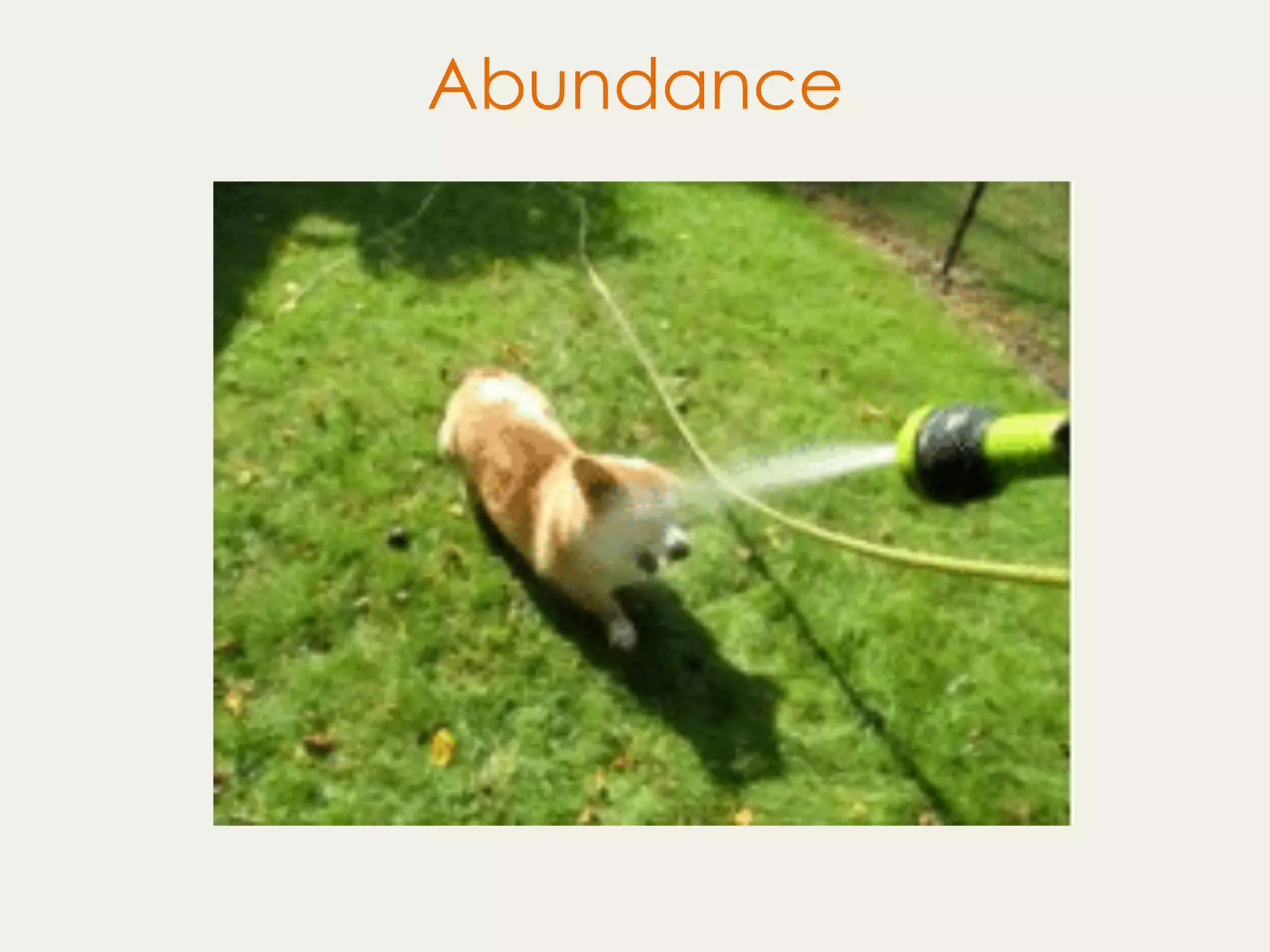 Abundance
 