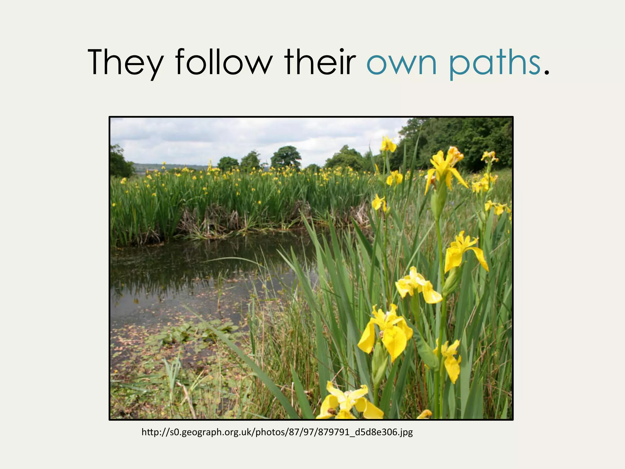 They follow their own paths.
h"p://s0.geograph.org.uk/photos/87/97/879791_d5d8e306.jpg	
 