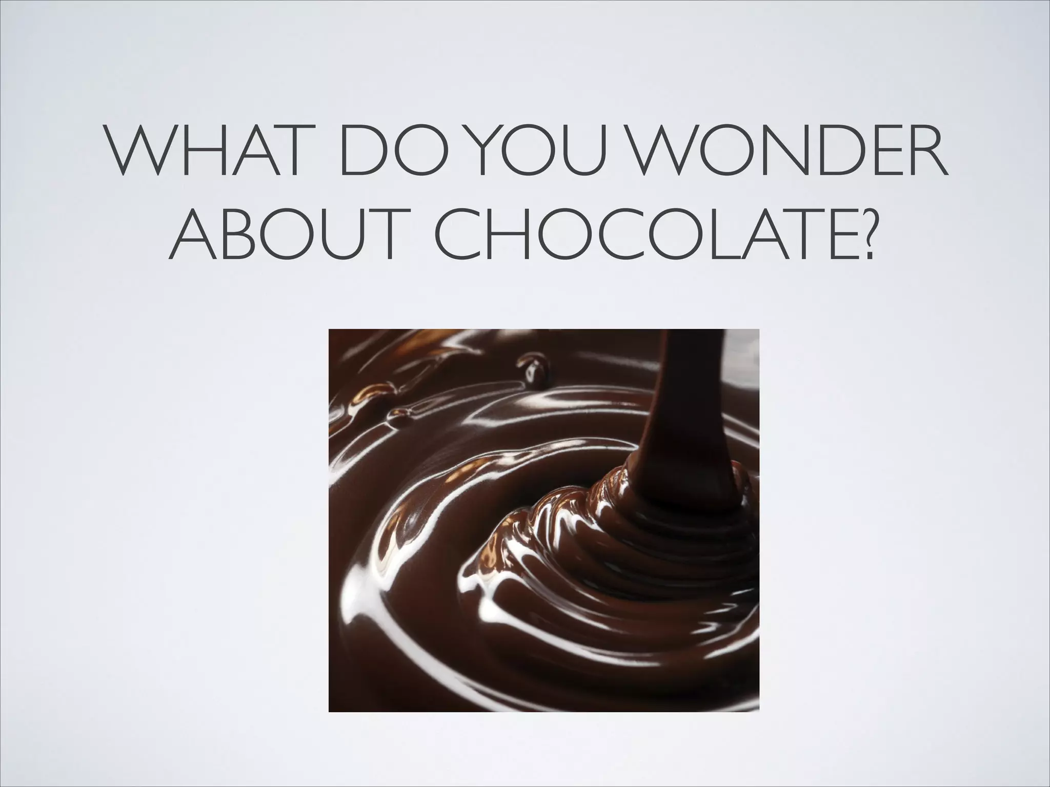 WHAT DO YOU WONDER
 ABOUT CHOCOLATE?
 