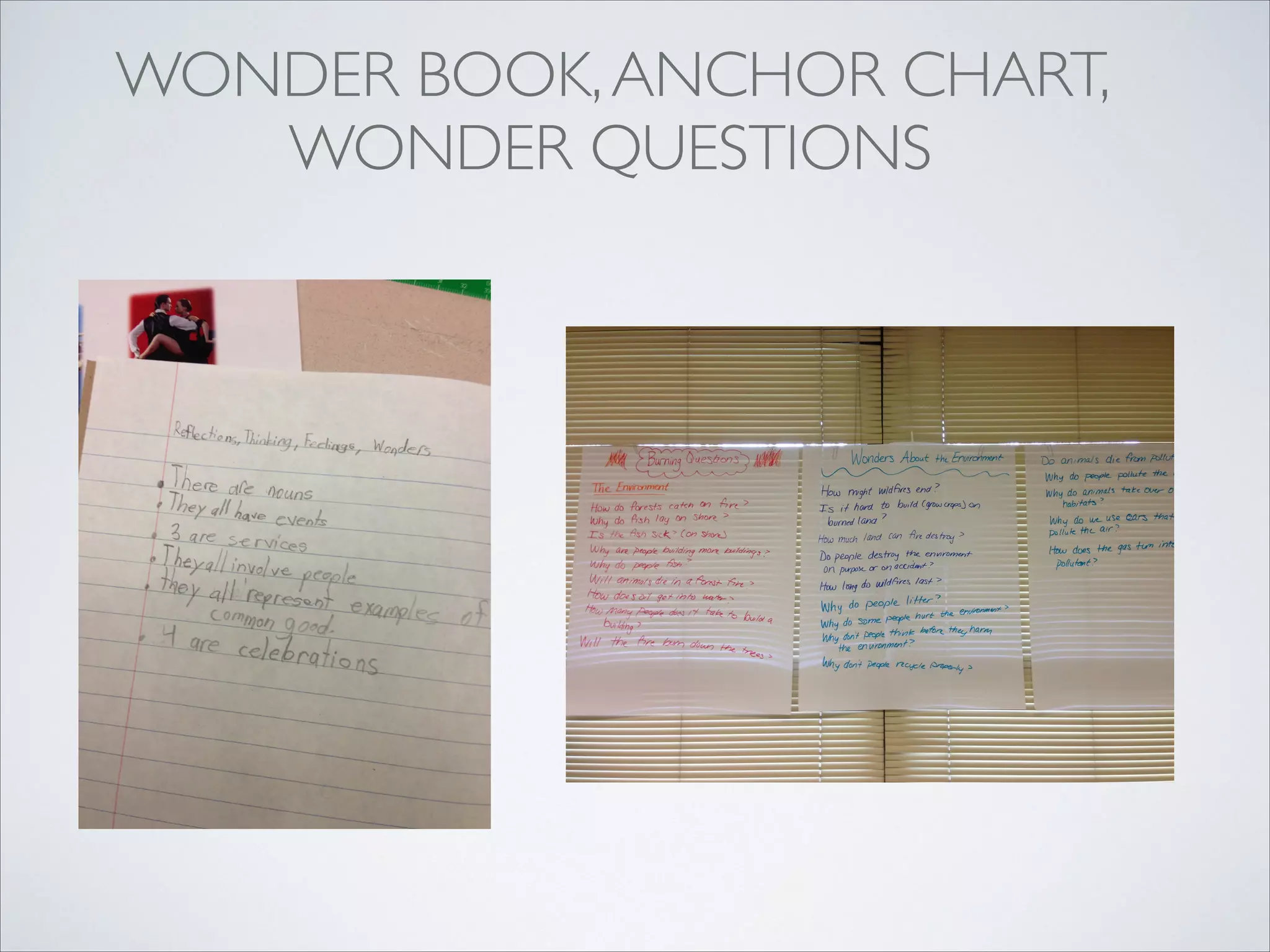WONDER BOOK, ANCHOR CHART,
   WONDER QUESTIONS 
            

            

            

            

            

            

            

            

            

            
 