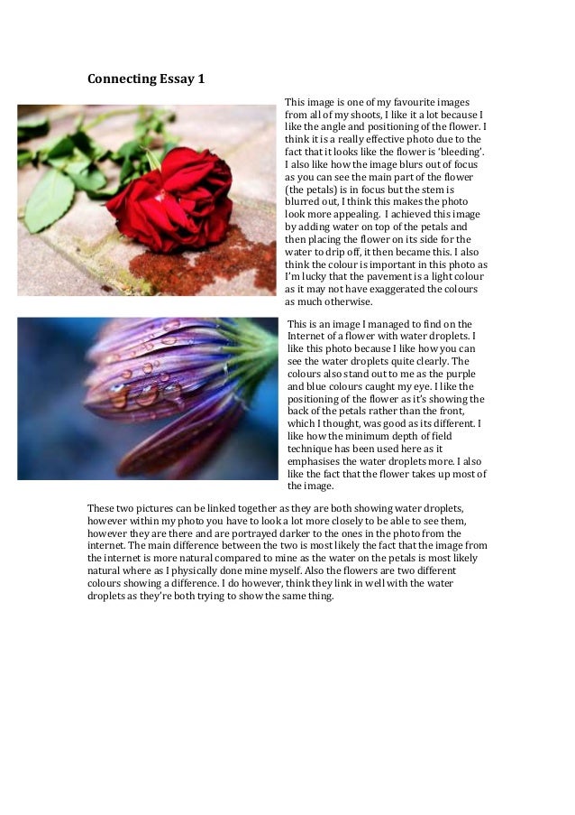 connections essay example