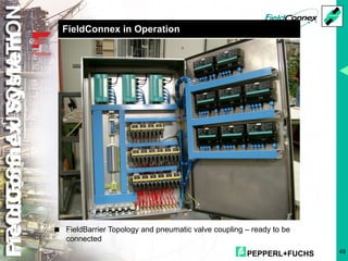PEPPERL+FUCHS 49
FieldConnex in Operation
FieldConnex
System
< FieldBarrier Topology and pneumatic valve coupling – ready to be
connected
 