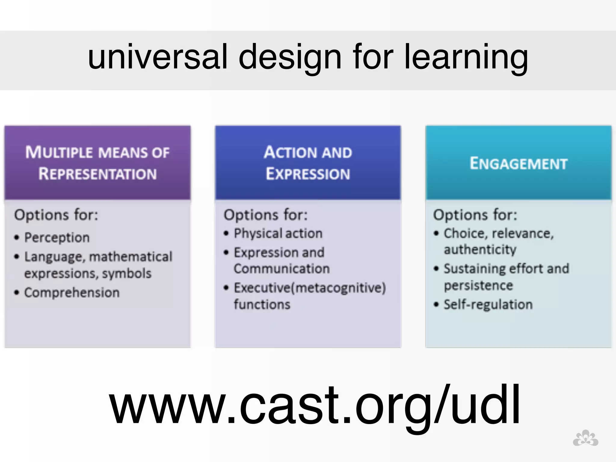 universal design for learning 
www.cast.org/udl 
 