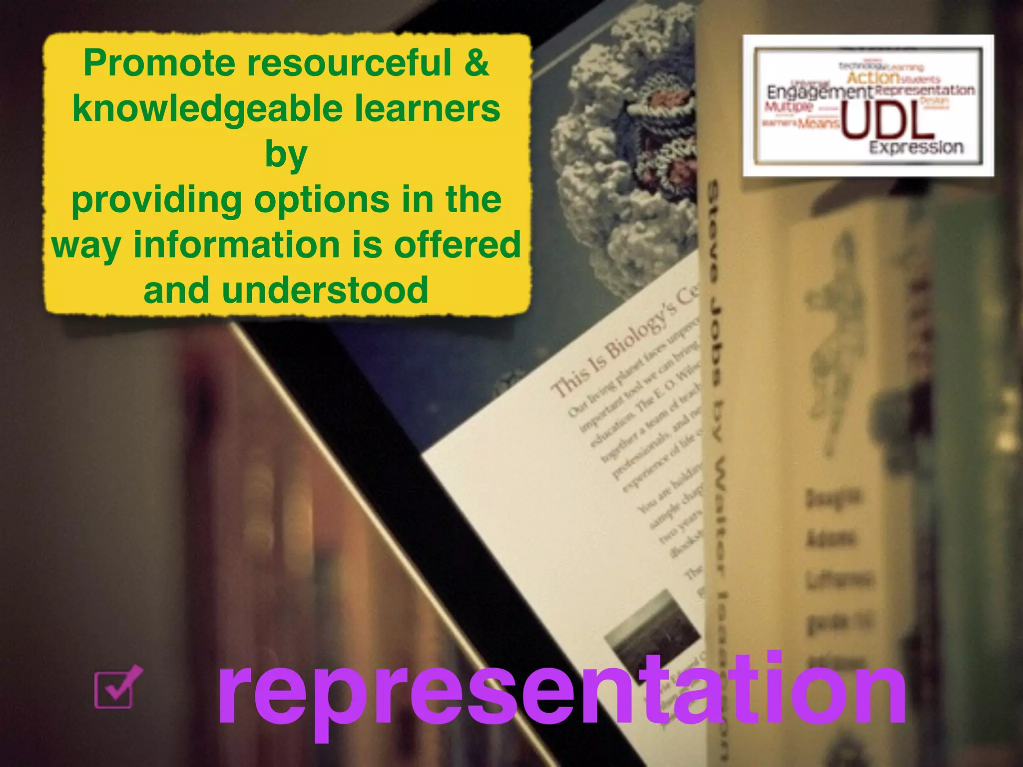 Promote resourceful & 
knowledgeable learners! 
by ! 
providing options in the 
way information is offered 
and understood 
representation 
 