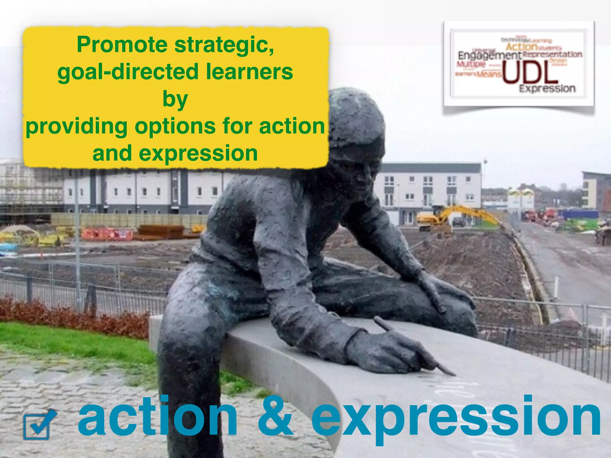 Promote strategic, ! 
goal-directed learners! 
by ! 
providing options for action 
and expression 
action & expression 
 
