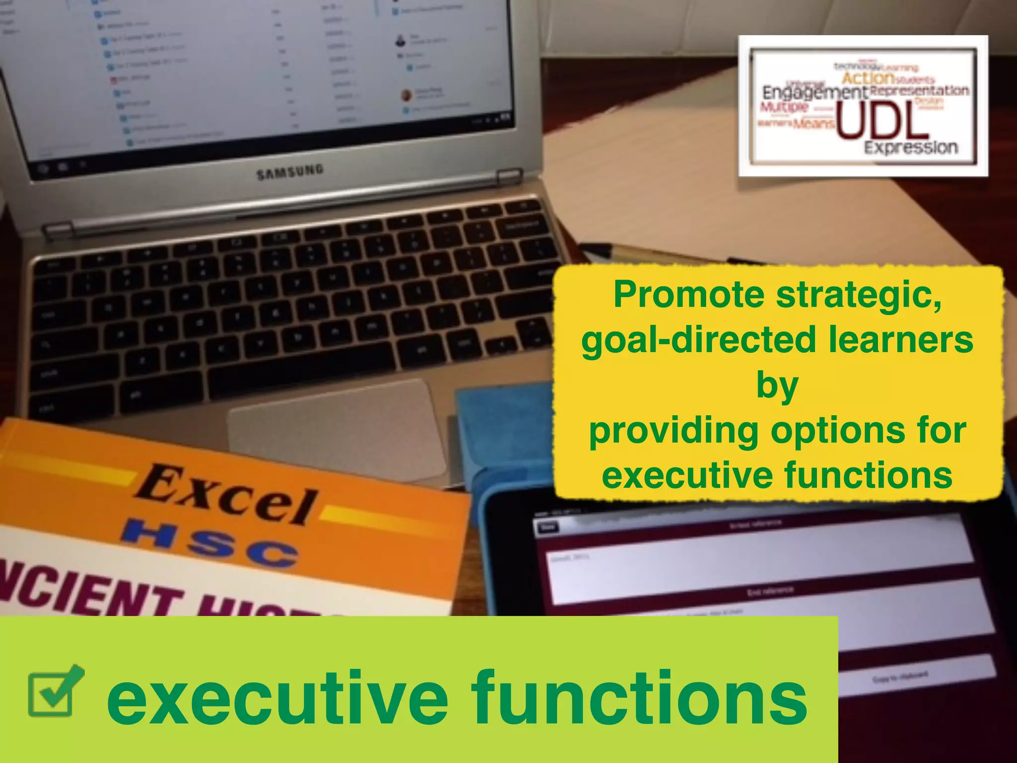 Promote strategic, ! 
goal-directed learners! 
by ! 
providing options for 
executive functions 
executive functions 
 