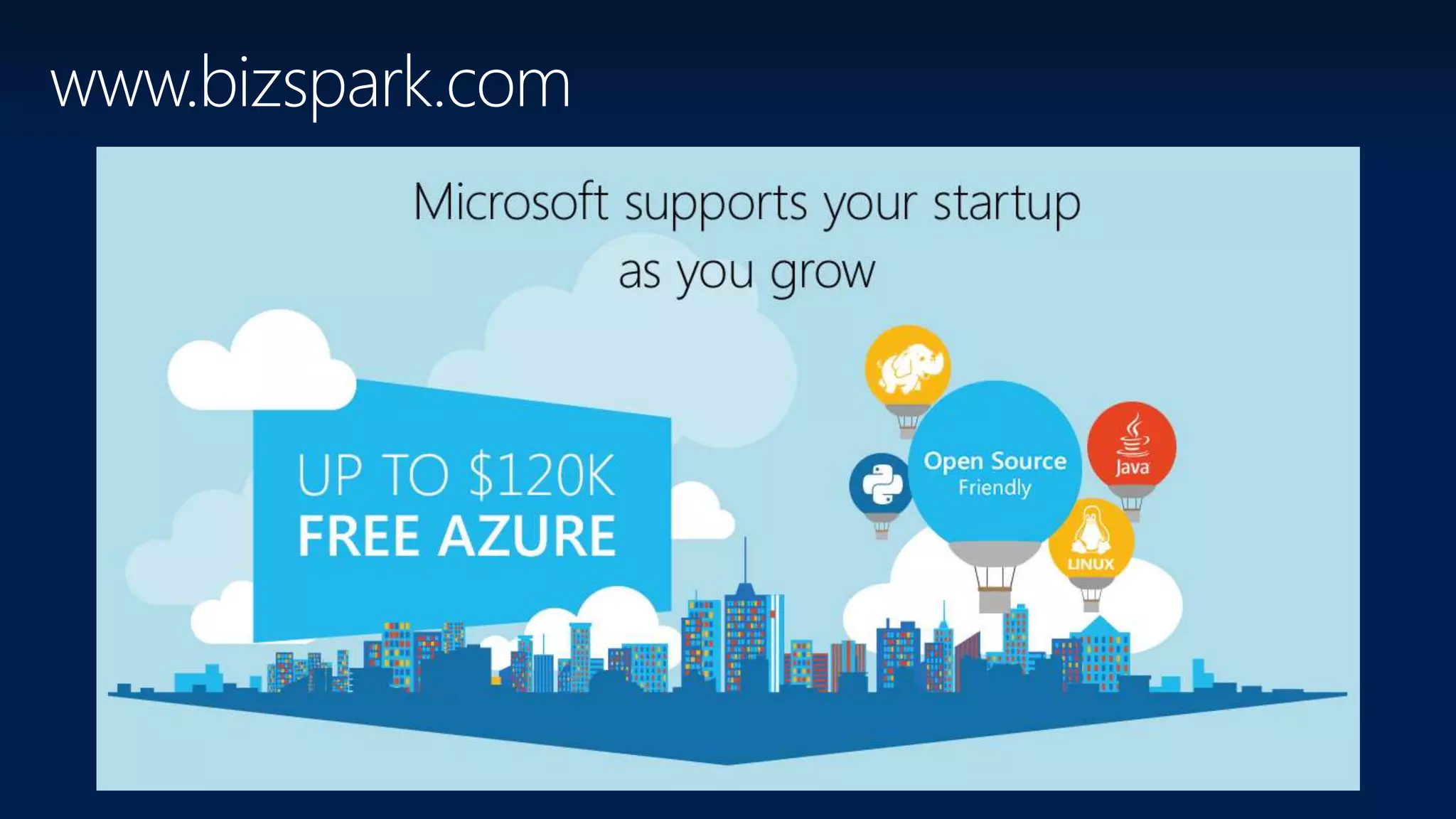 www.bizspark.com
 