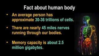 Fact about human body
• An average person has
approximate 30-36 trillions of cells.
• There are nearly 45 miles nerves
running through our bodies.
• Memory capacity is about 2.5
million gigabytes.
 