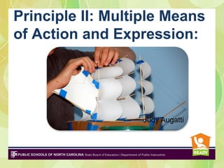Principle II: Multiple Means
of Action and Expression:




                  Judy Augatti
 