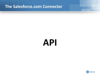 The Salesforce.com Connector




                  API
 
