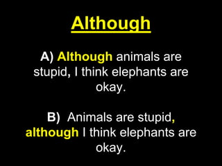 Although
A) Although animals are
stupid, I think elephants are
okay.
B) Animals are stupid,
although I think elephants are
okay.
 