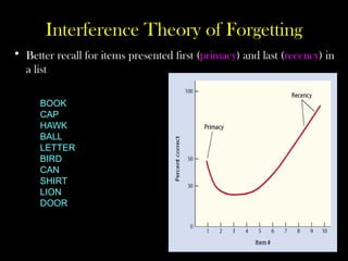 Interference Theory of Forgetting
BOOK
CAP
HAWK
BALL
LETTER
BIRD
CAN
SHIRT
LION
DOOR
• Better recall for items presented first (primacy) and last (recency) in
a list
 