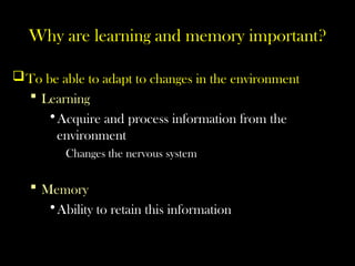 Why are learning and memory important?
To be able to adapt to changes in the environment
 Learning
•Acquire and process information from the
environment
Changes the nervous system
 Memory
•Ability to retain this information
 