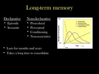 Long-term memory
• Lasts for months and years
• Takes a long time to consolidate
0
1
2
3
4
5
6
7
8
9
1 0
Time
S
trength
of
m
em
ory
trace
Sensory buffer
Short-term memory
Intermediate-term memory
Long-term memory
High
Low
Input
Declarative
• Episodic
• Semantic
Non-declarative
• Procedural
• Perceptual
• Conditioning
• Non-associative
 