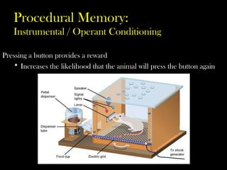 Procedural Memory:
Instrumental / Operant Conditioning
Pressing a button provides a reward
• Increases the likelihood that the animal will press the button again
 