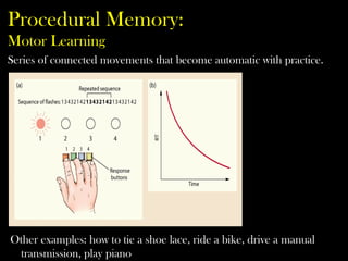 Procedural Memory:
Motor Learning
Other examples: how to tie a shoe lace, ride a bike, drive a manual
transmission, play piano
Series of connected movements that become automatic with practice.
 