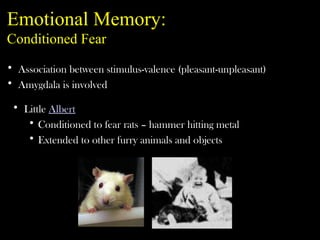 Emotional Memory:
Conditioned Fear
• Little Albert
• Conditioned to fear rats – hammer hitting metal
• Extended to other furry animals and objects
• Association between stimulus-valence (pleasant-unpleasant)
• Amygdala is involved
 