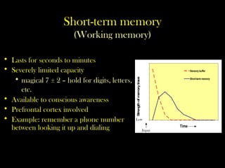 Short-term memory
(Working memory)
• Lasts for seconds to minutes
• Severely limited capacity
• magical 7 ± 2 – hold for digits, letters,
etc.
• Available to conscious awareness
• Prefrontal cortex involved
• Example: remember a phone number
between looking it up and dialing
0
1
2
3
4
5
6
7
8
9
1 0
Time
Strength
of
m
em
ory
trace
Sensory buffer
Short-term memory
High
Low
Input
 