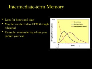 Intermediate-term Memory
• Lasts for hours and days
• May be transferred to LTM through
rehearsal
• Example: remembering where you
parked your car
0
1
2
3
4
5
6
7
8
9
1 0
Time
Strength
of
memory
trace
Sensory buffer
Short-term memory
Intermediate-term memory
High
Low
Input
 