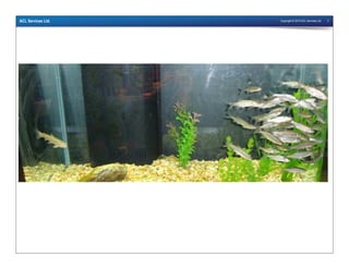 Copyright © 2010 ACL Services Ltd. 2ACL Services Ltd.
 