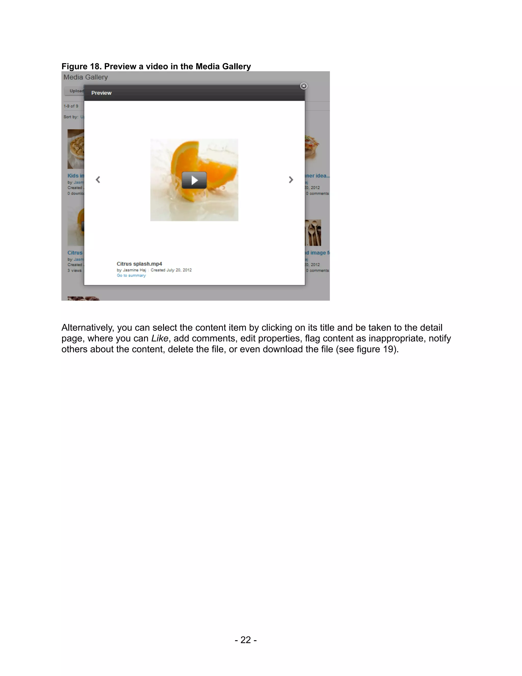 Figure 18. Preview a video in the Media Gallery




Alternatively, you can select the content item by clicking on its title and be taken to the detail
page, where you can Like, add comments, edit properties, flag content as inappropriate, notify
others about the content, delete the file, or even download the file (see figure 19).




                                           - 22 -
 