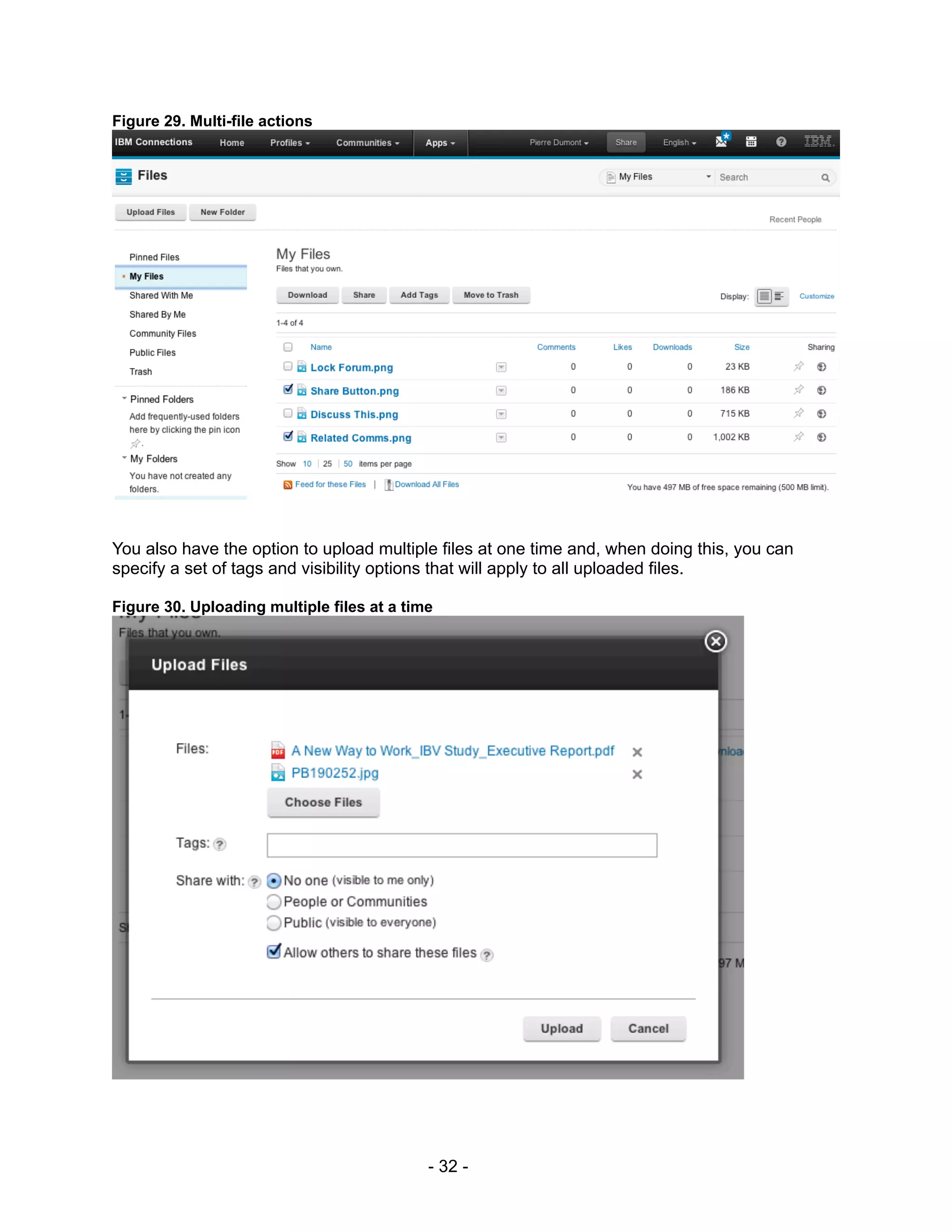 Figure 29. Multi-file actions




You also have the option to upload multiple files at one time and, when doing this, you can
specify a set of tags and visibility options that will apply to all uploaded files.

Figure 30. Uploading multiple files at a time




                                            - 32 -
 