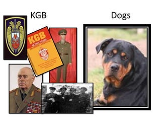KGB   Dogs
 