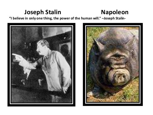 napoleon animal farm stalin