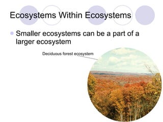 Ecosystems Within Ecosystems Smaller ecosystems can be a part of a larger ecosystem Deciduous forest ecosystem 