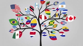 # C o n n e c t i o n s 1 8
International
 