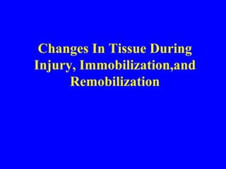 Changes In Tissue During Injury, Immobilization,and Remobilization 