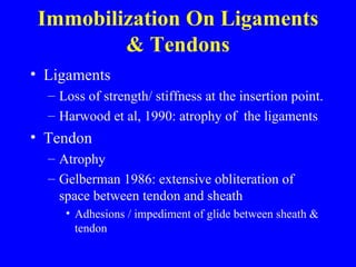 Immobilization On Ligaments & Tendons Ligaments Loss of strength/ stiffness at the insertion point. Harwood et al, 1990: atrophy of  the ligaments Tendon Atrophy  Gelberman 1986: extensive obliteration of space between tendon and sheath  Adhesions / impediment of glide between sheath & tendon 