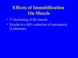 Effects of Immobilization  On Muscle 2º shortening of the muscle  Results in a 40% reduction of sarcomeres (Lederman)  
